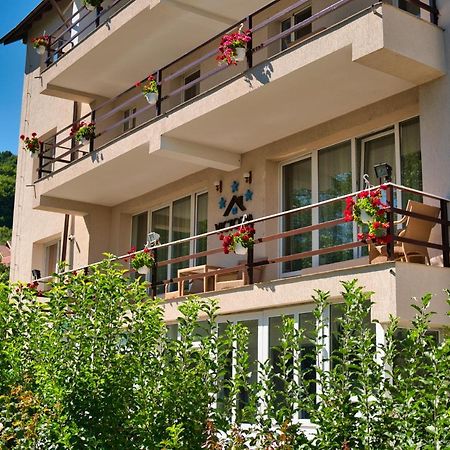 Vila Victoria Râmnicu Vâlcea Extérieur photo