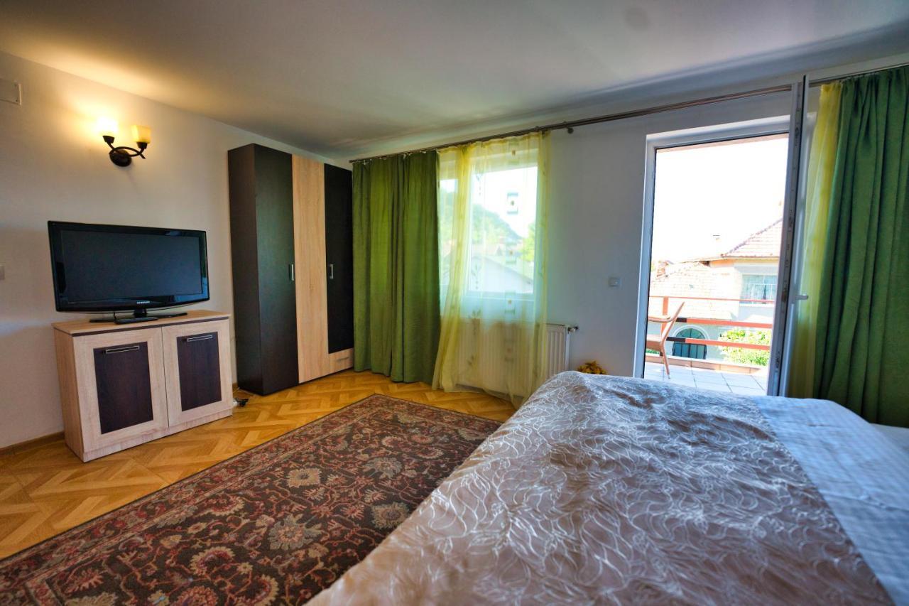 Vila Victoria Râmnicu Vâlcea Extérieur photo