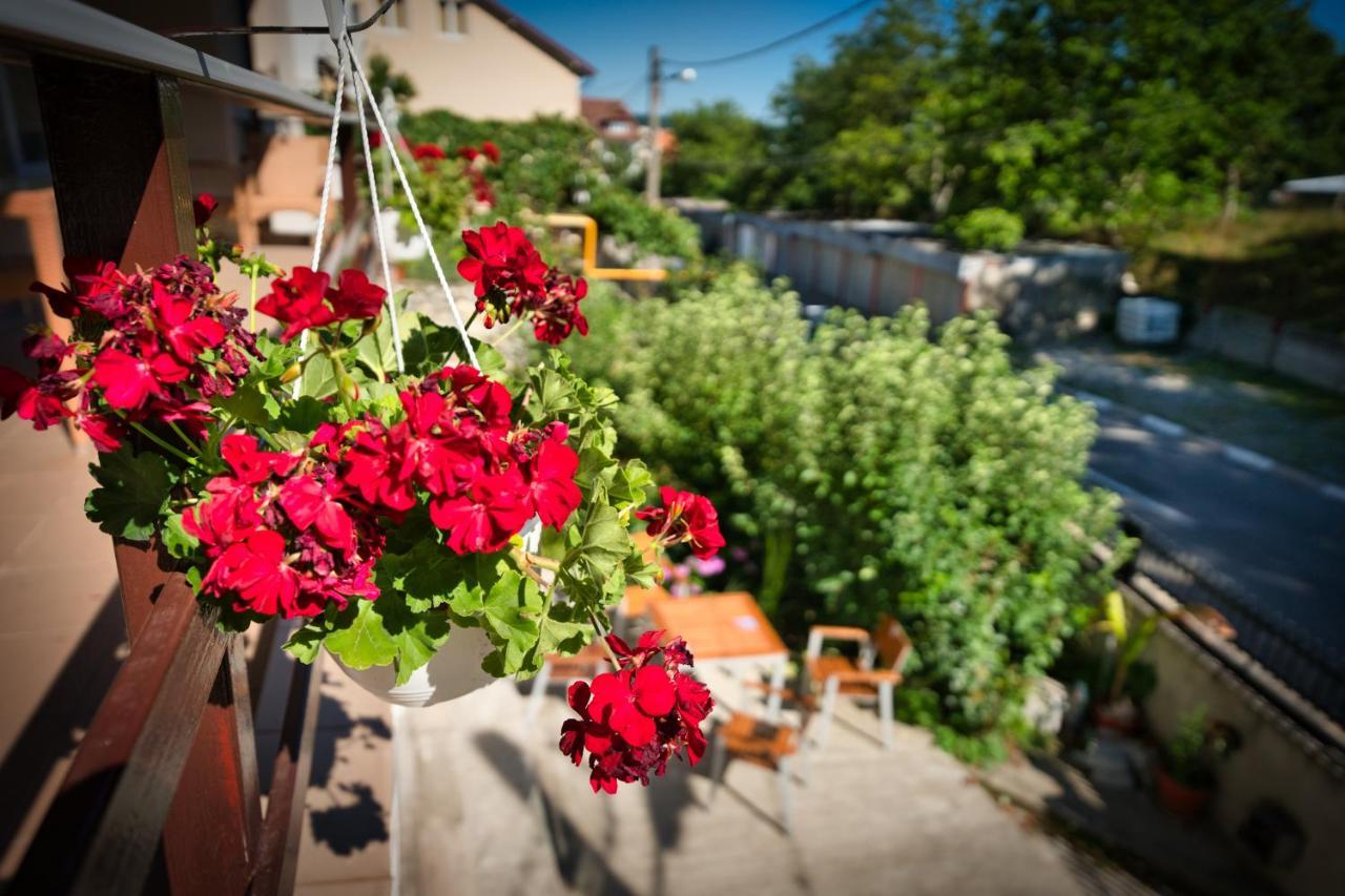 Vila Victoria Râmnicu Vâlcea Extérieur photo