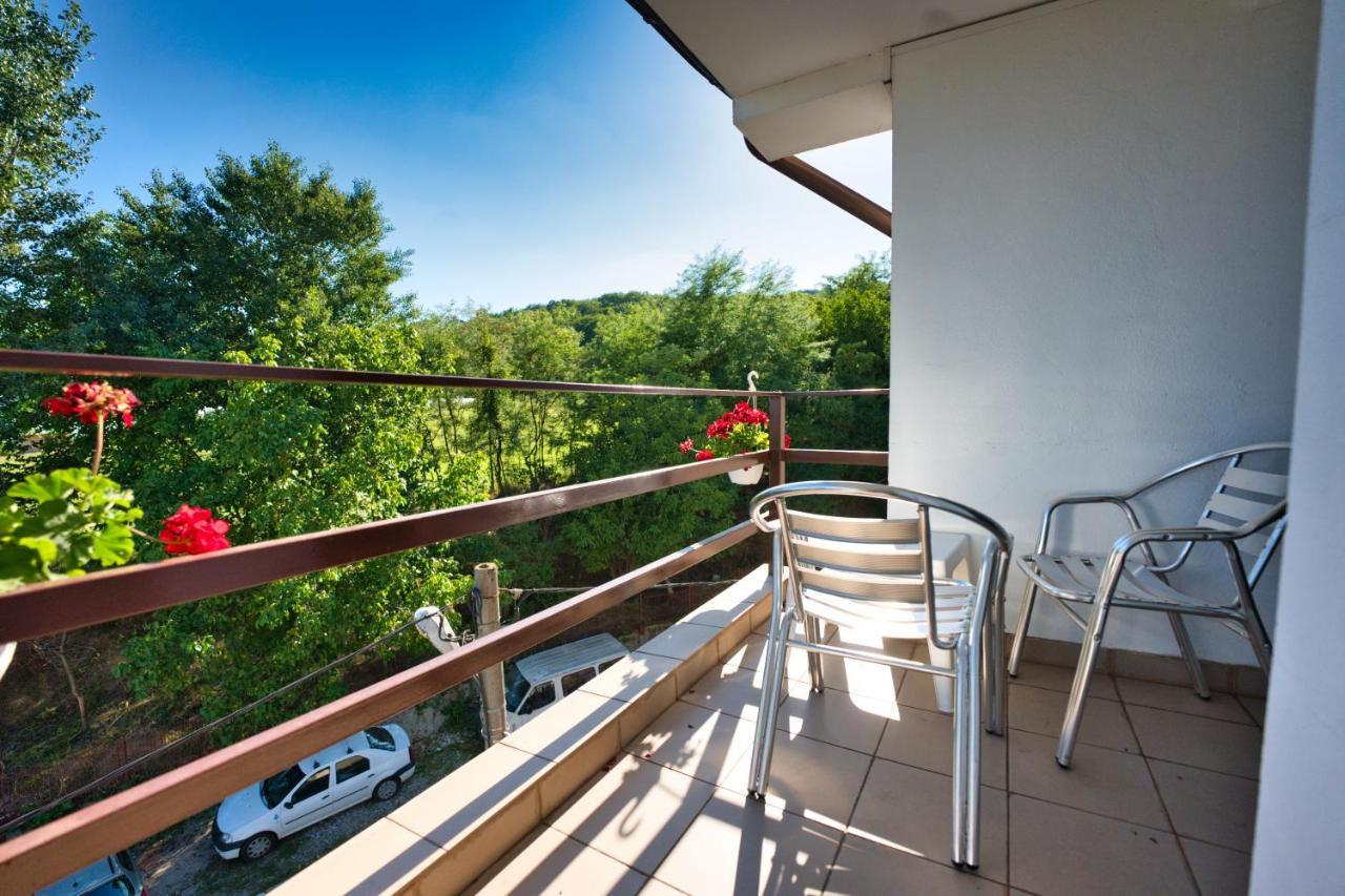 Vila Victoria Râmnicu Vâlcea Extérieur photo