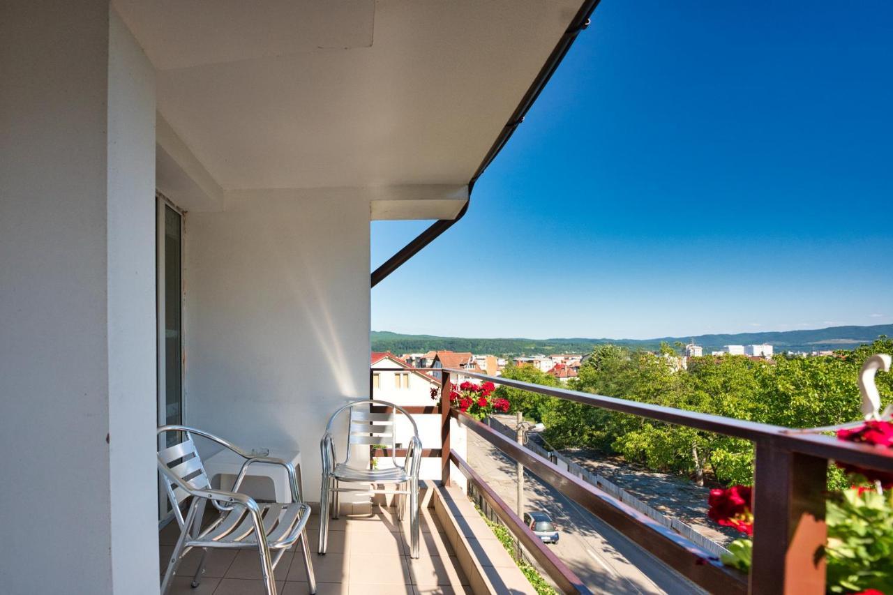 Vila Victoria Râmnicu Vâlcea Extérieur photo