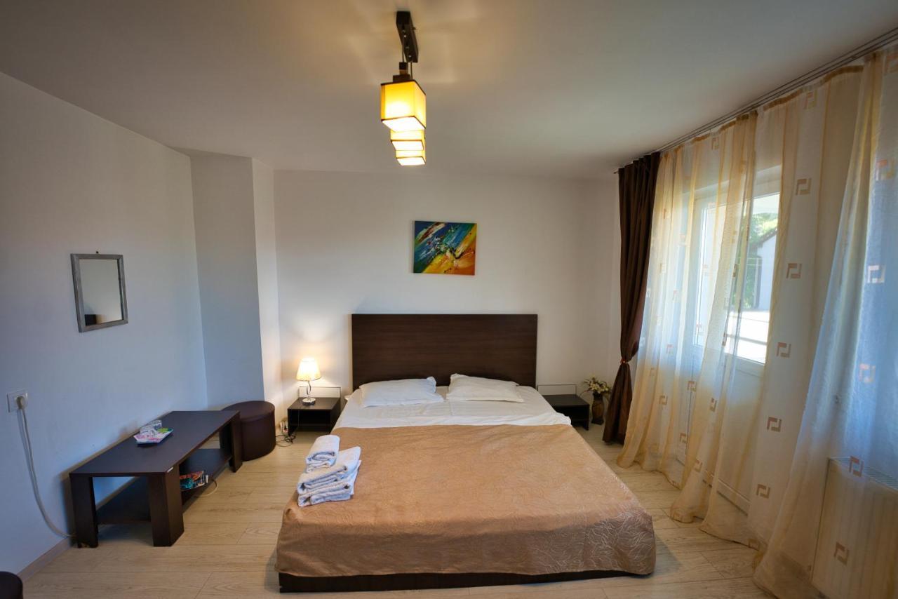 Vila Victoria Râmnicu Vâlcea Extérieur photo