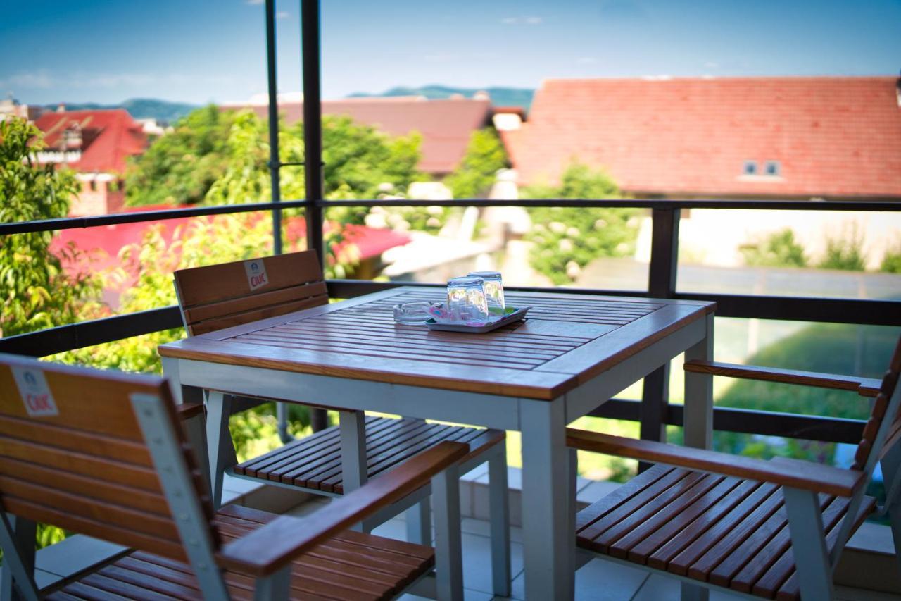 Vila Victoria Râmnicu Vâlcea Extérieur photo
