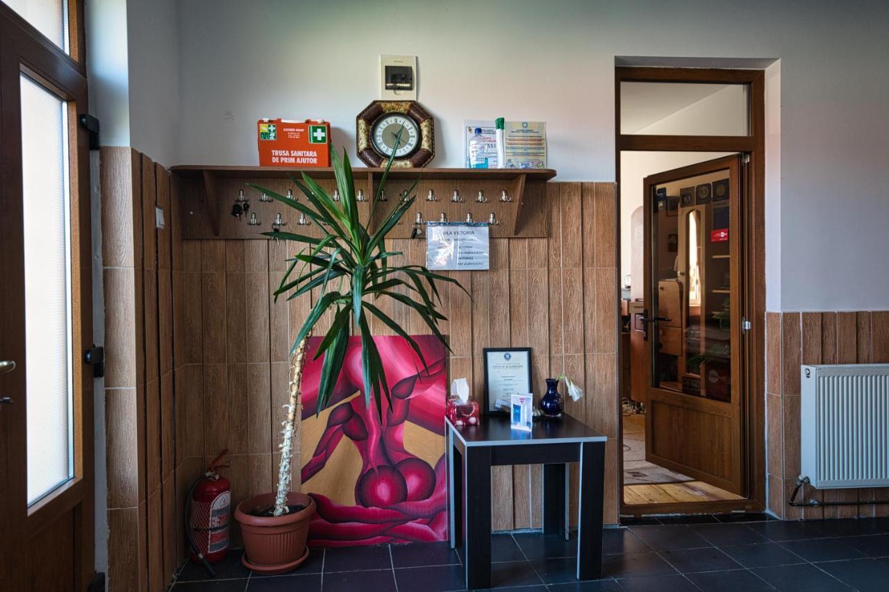 Vila Victoria Râmnicu Vâlcea Extérieur photo