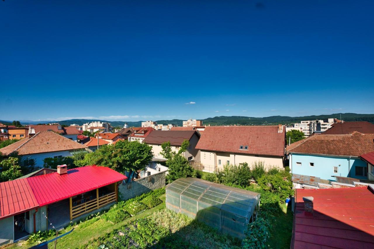 Vila Victoria Râmnicu Vâlcea Extérieur photo