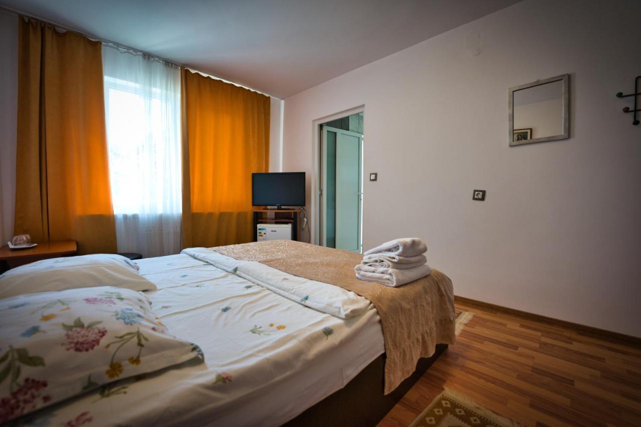 Vila Victoria Râmnicu Vâlcea Extérieur photo