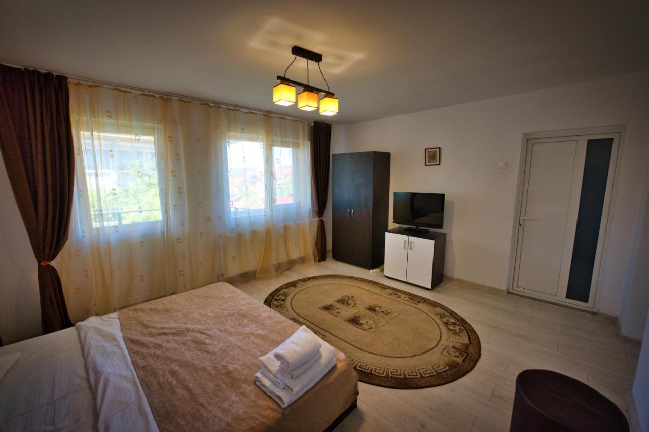 Vila Victoria Râmnicu Vâlcea Extérieur photo