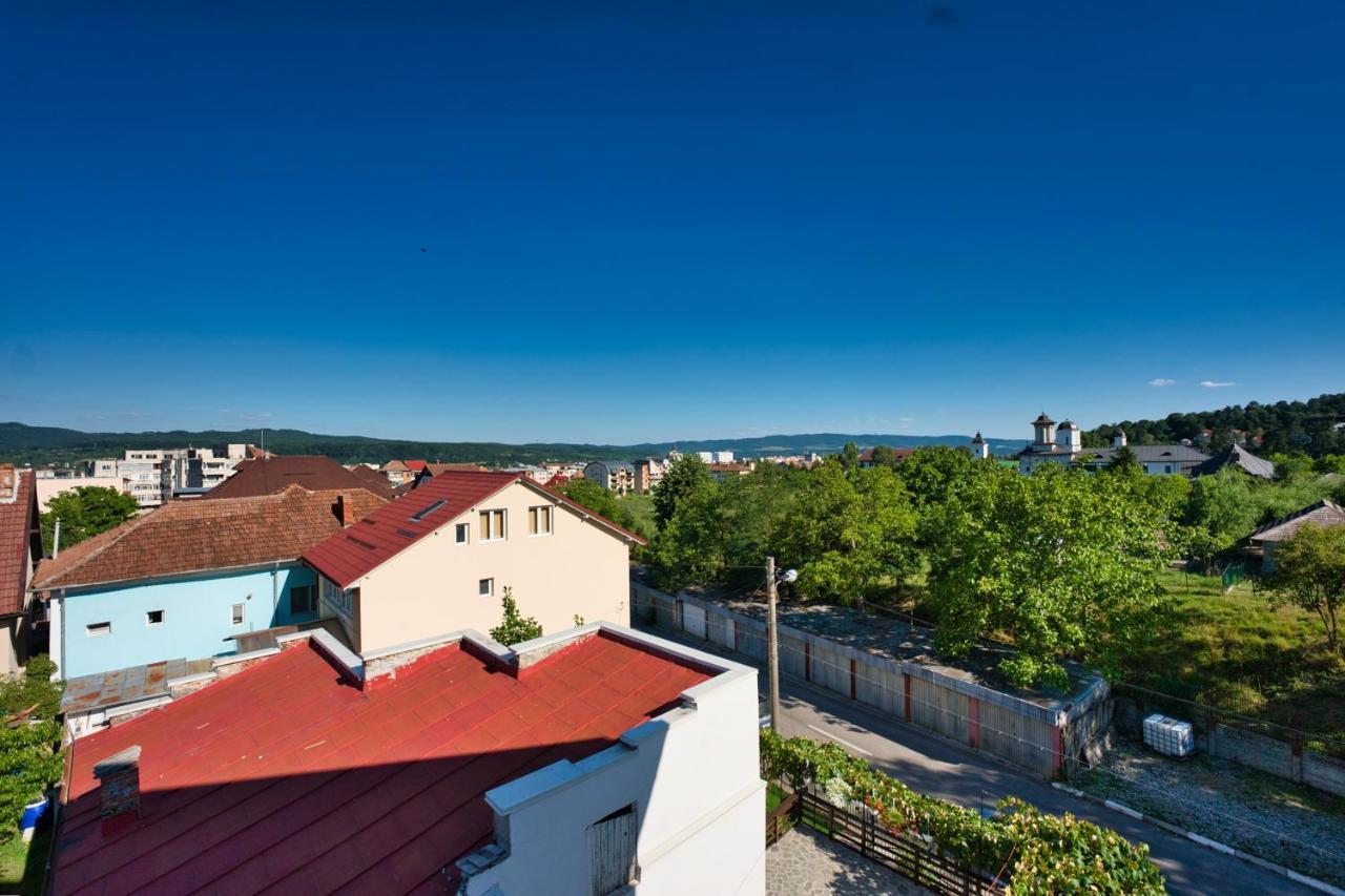 Vila Victoria Râmnicu Vâlcea Extérieur photo