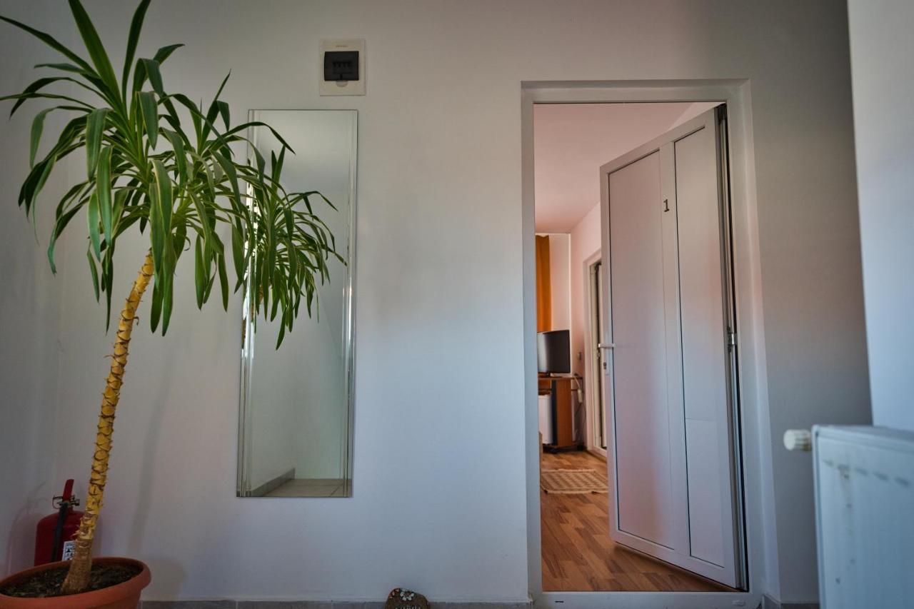 Vila Victoria Râmnicu Vâlcea Extérieur photo