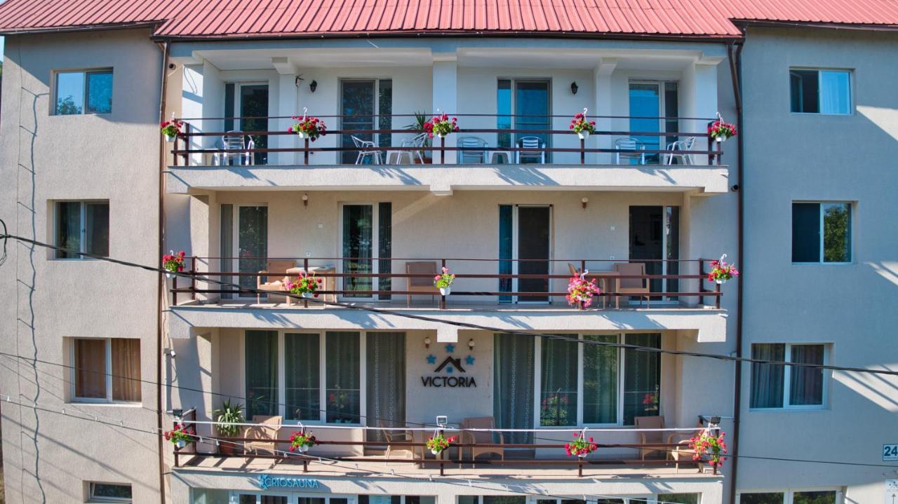 Vila Victoria Râmnicu Vâlcea Extérieur photo