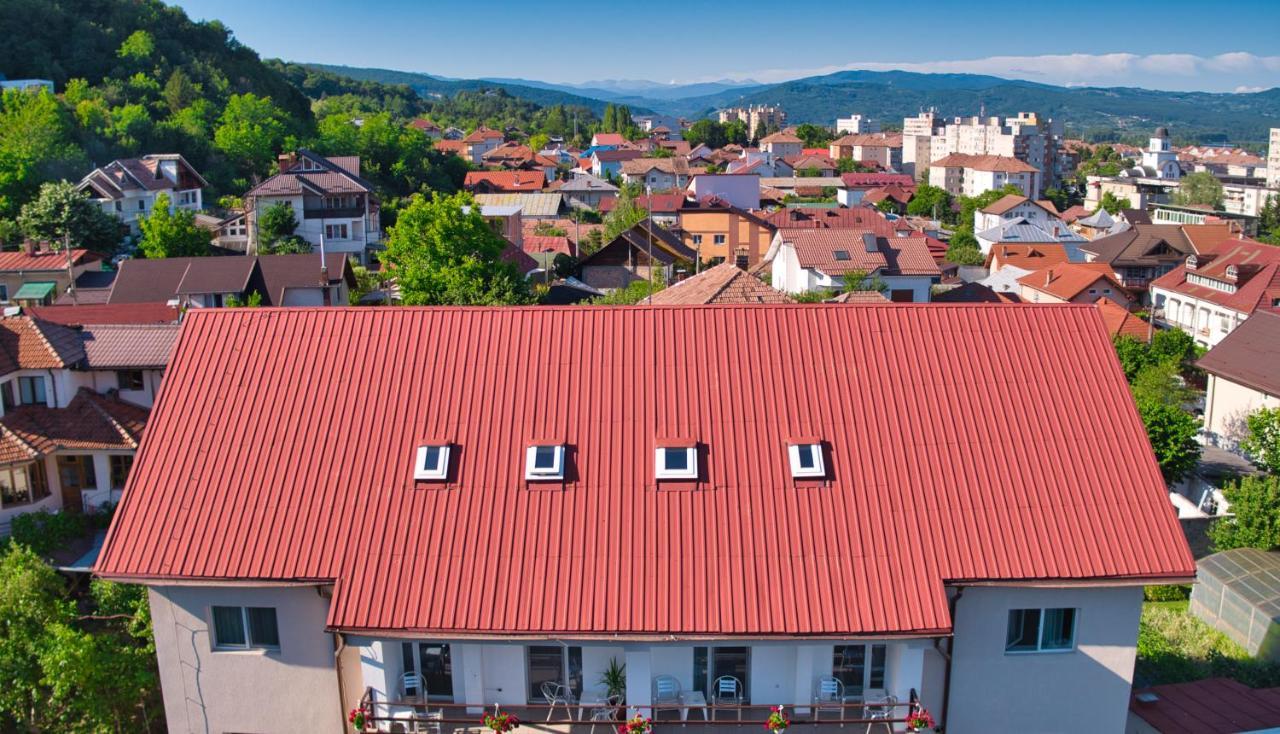 Vila Victoria Râmnicu Vâlcea Extérieur photo