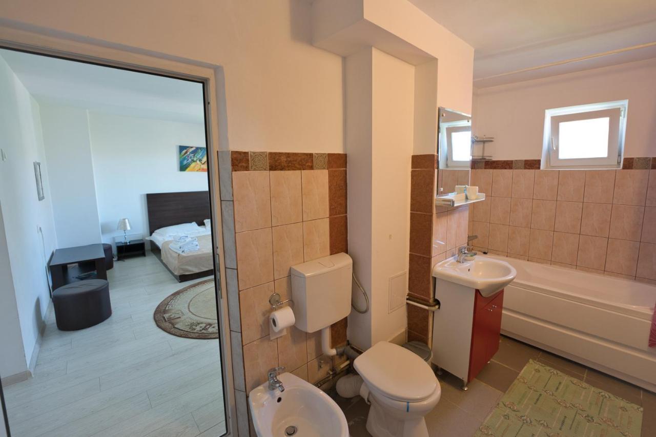 Vila Victoria Râmnicu Vâlcea Extérieur photo