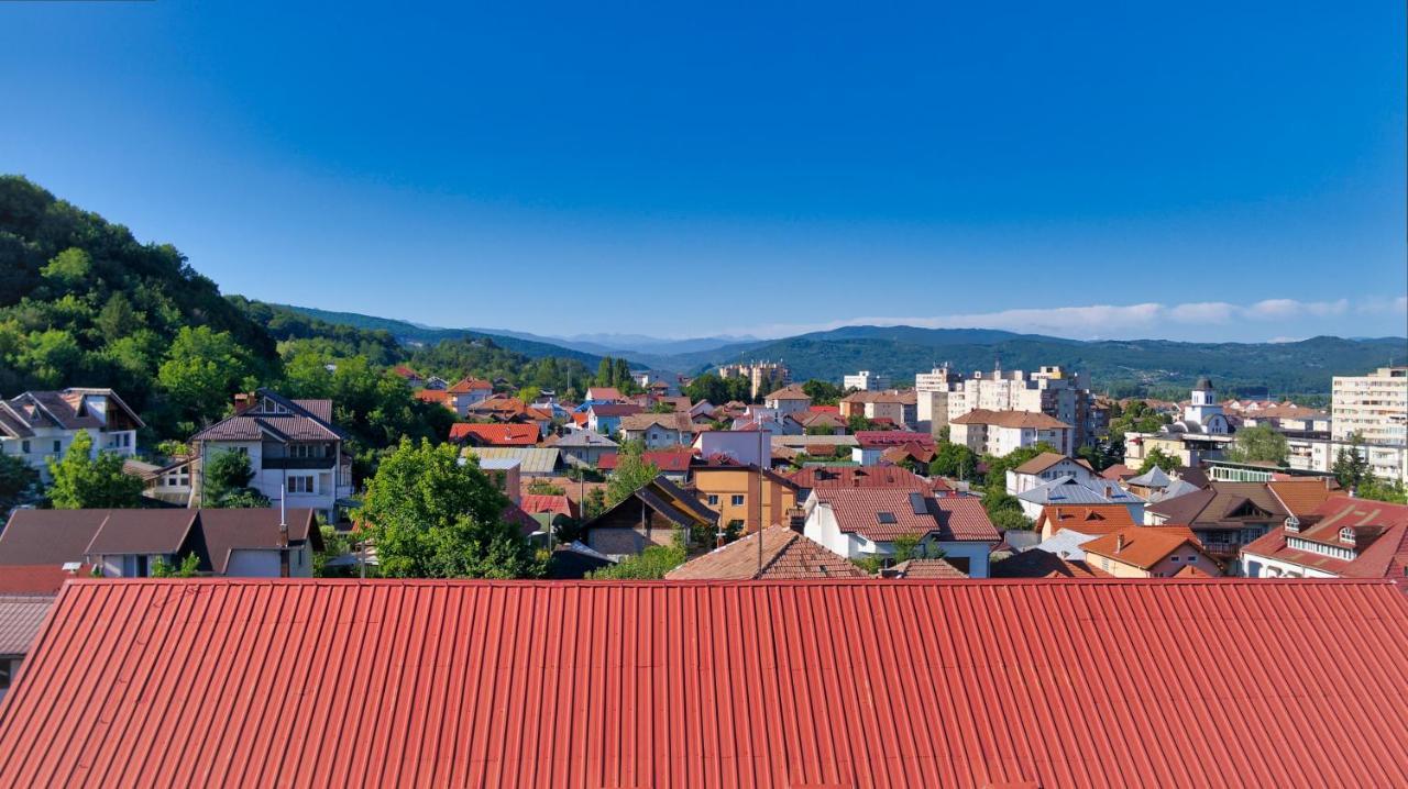 Vila Victoria Râmnicu Vâlcea Extérieur photo