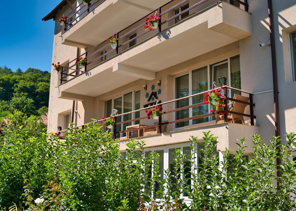 Vila Victoria Râmnicu Vâlcea Extérieur photo