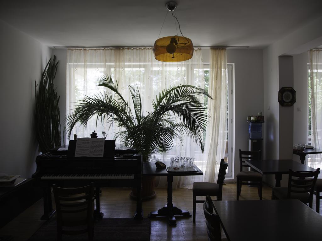 Vila Victoria Râmnicu Vâlcea Extérieur photo