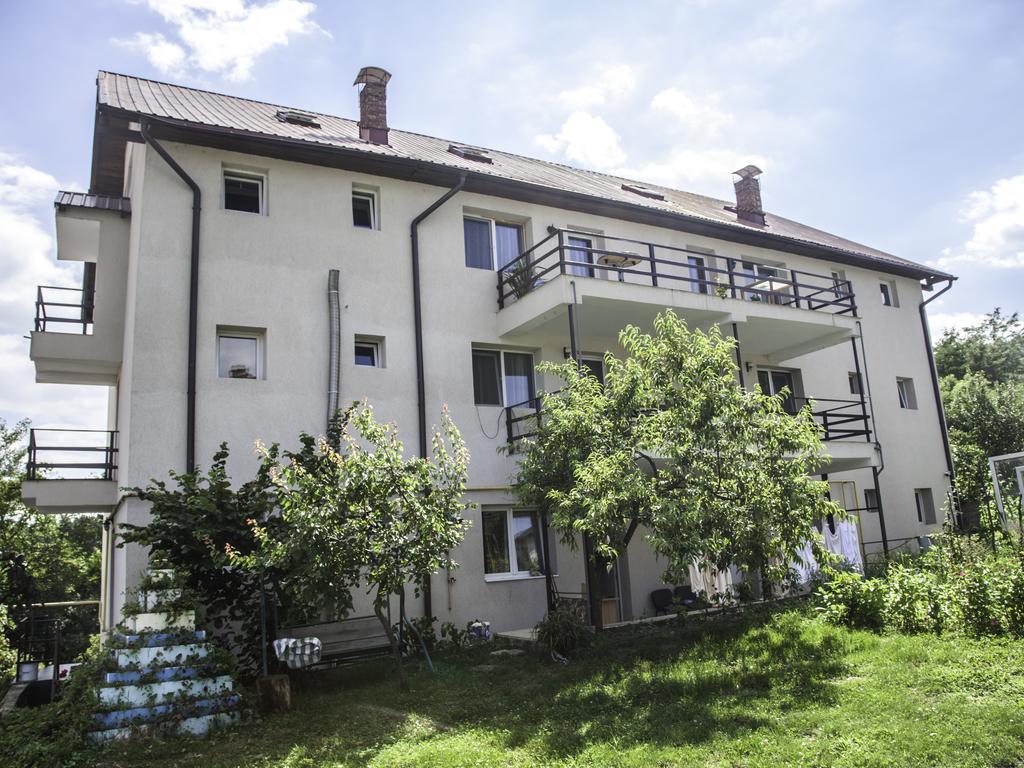 Vila Victoria Râmnicu Vâlcea Extérieur photo