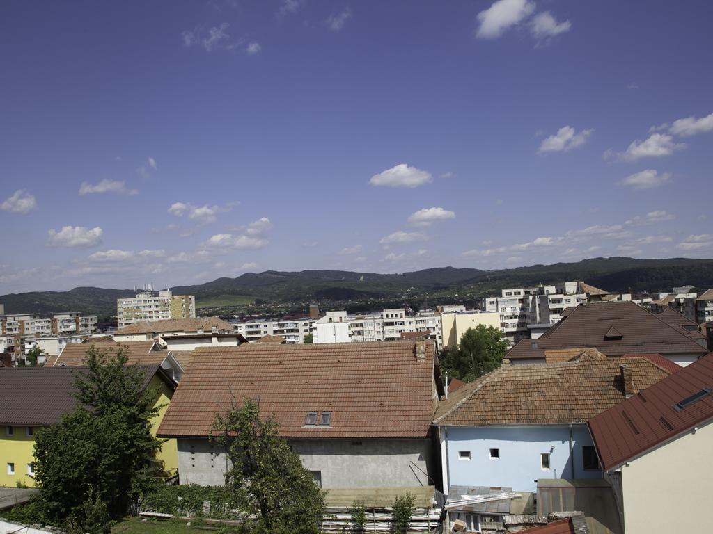 Vila Victoria Râmnicu Vâlcea Extérieur photo