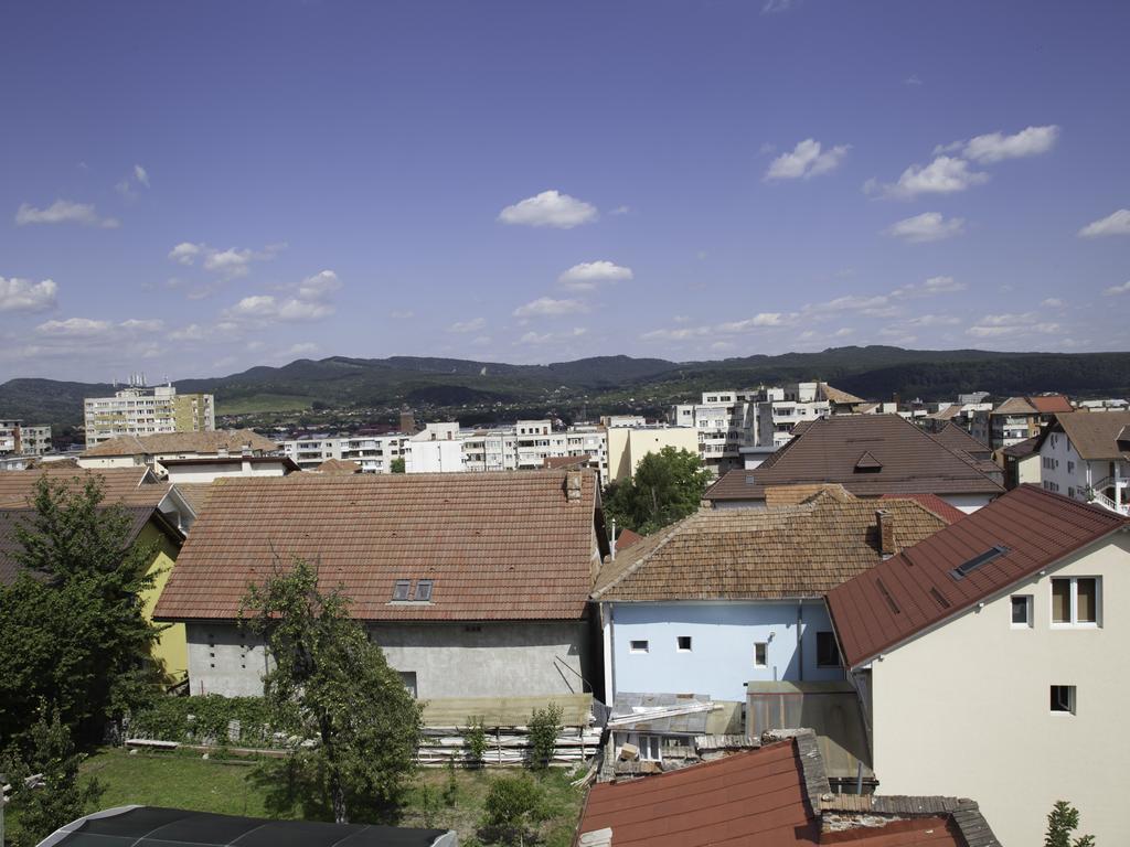 Vila Victoria Râmnicu Vâlcea Extérieur photo