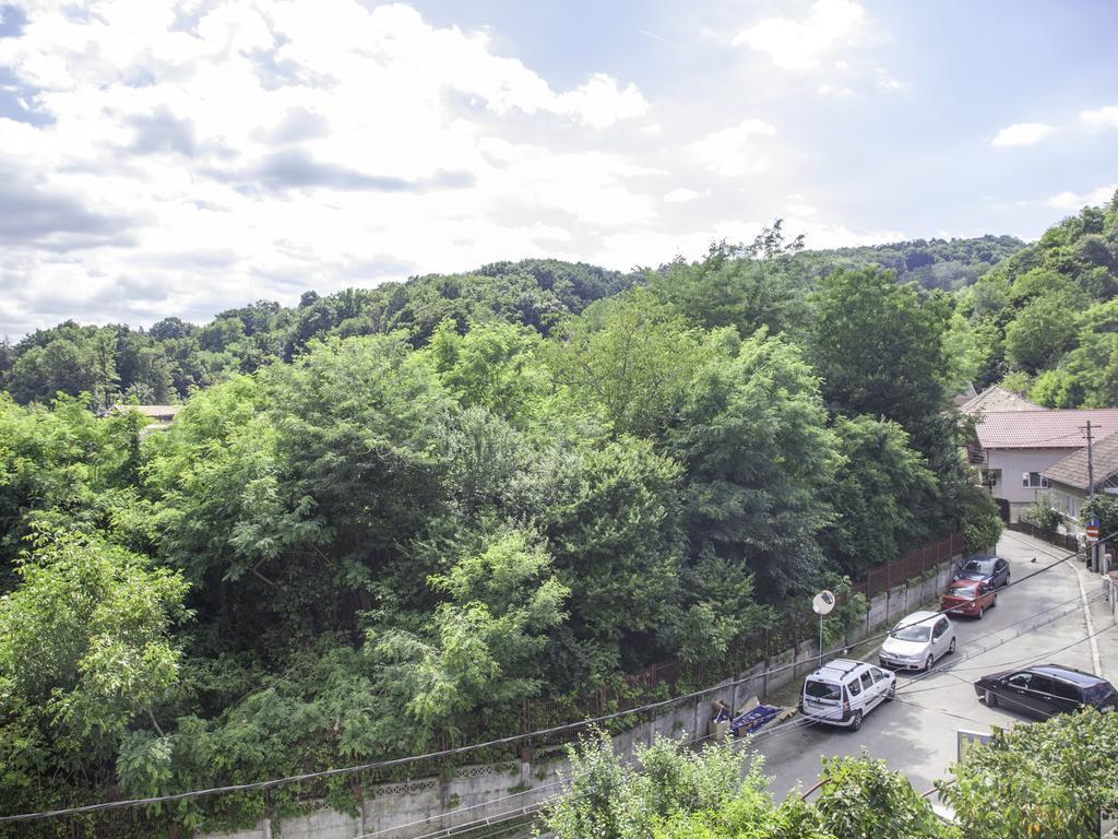 Vila Victoria Râmnicu Vâlcea Extérieur photo