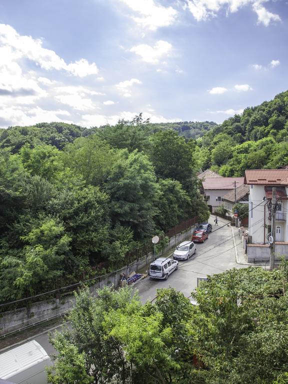 Vila Victoria Râmnicu Vâlcea Extérieur photo