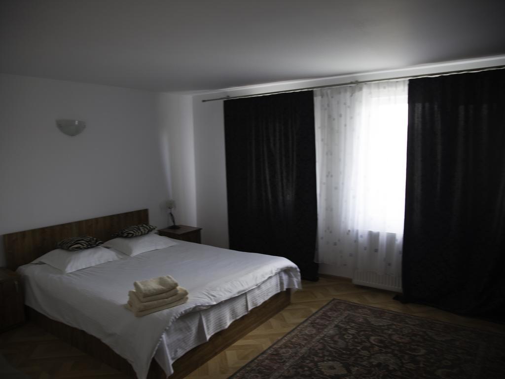 Vila Victoria Râmnicu Vâlcea Extérieur photo