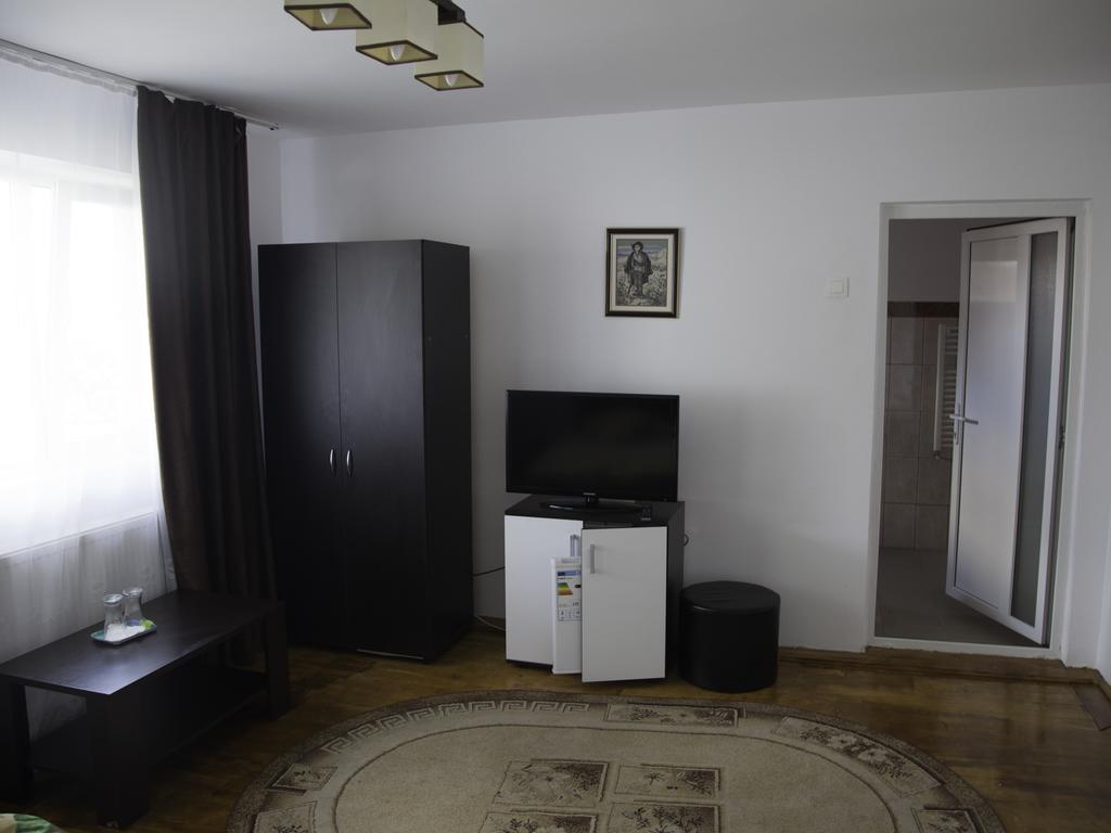 Vila Victoria Râmnicu Vâlcea Extérieur photo