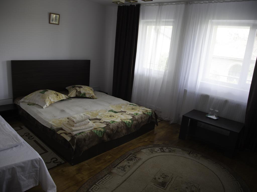 Vila Victoria Râmnicu Vâlcea Extérieur photo